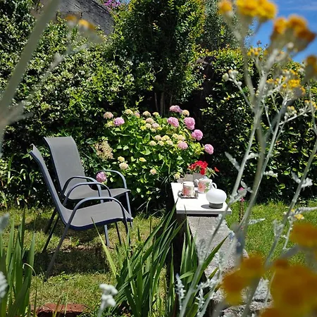 Seaview Tajm Garden & Private Parking Daire