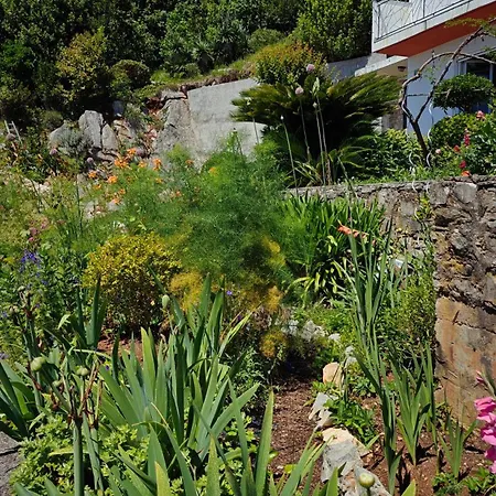 Seaview Tajm Garden & Private Parking Daire Opatija