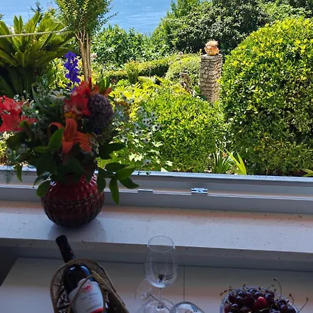 Seaview Tajm Garden & Private Parking Daire *