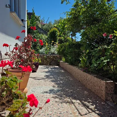 Daire Seaview Tajm Garden & Private Parking
