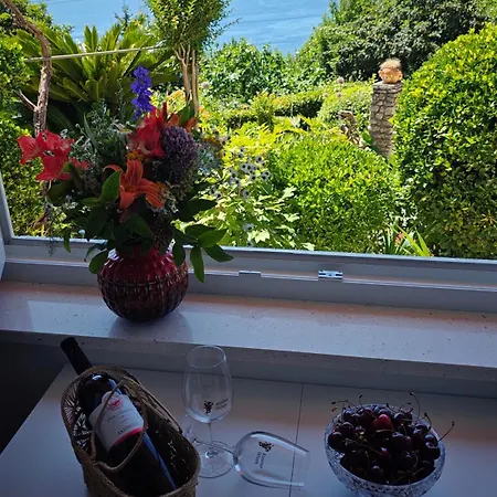 Seaview Tajm Garden & Private Parking Opatija