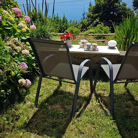 Daire Seaview Tajm Garden & Private Parking Opatija